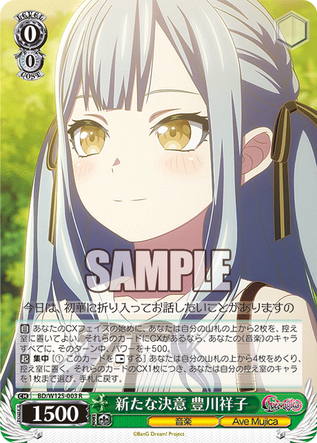 新たな決意 豊川祥子(R)