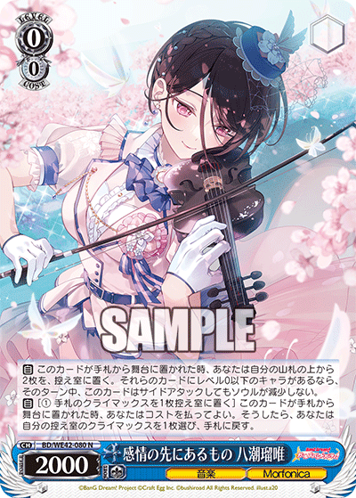 感情の先にあるもの 八潮瑠唯(N)