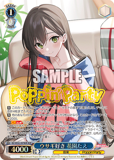 ウサギ好き 花園たえ(BDR)