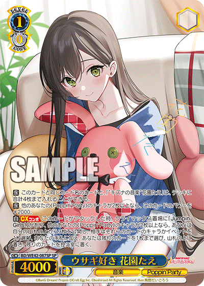 ウサギ好き 花園たえ(SP)