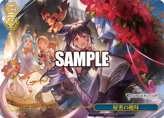 秘密の趣味(RRR)(GBF/S134-116R)