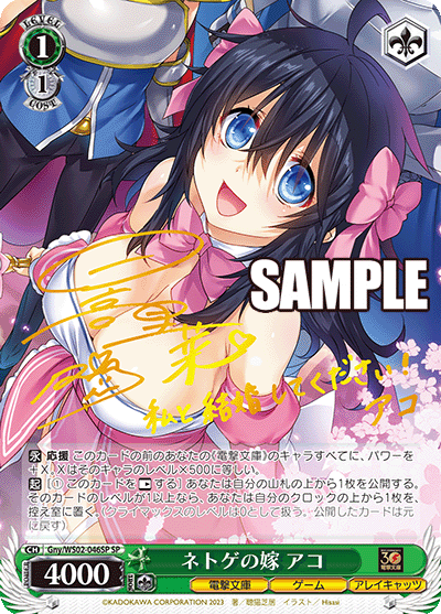 ネトゲの嫁 アコ(SP)