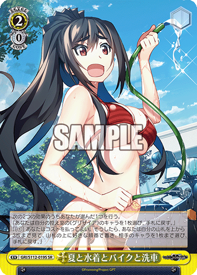 夏と水着とバイクと洗車(SR)