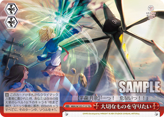 大切なものを守りたい(TD)