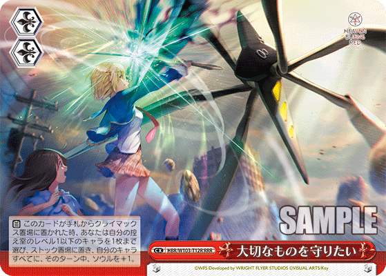 大切なものを守りたい(RRR)