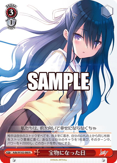 宝物になった日(R)