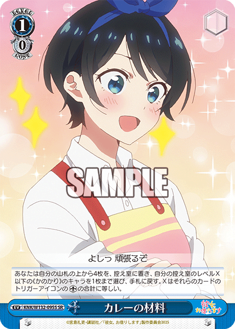 カレーの材料(SR)