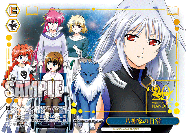 八神家の日常(LCR)