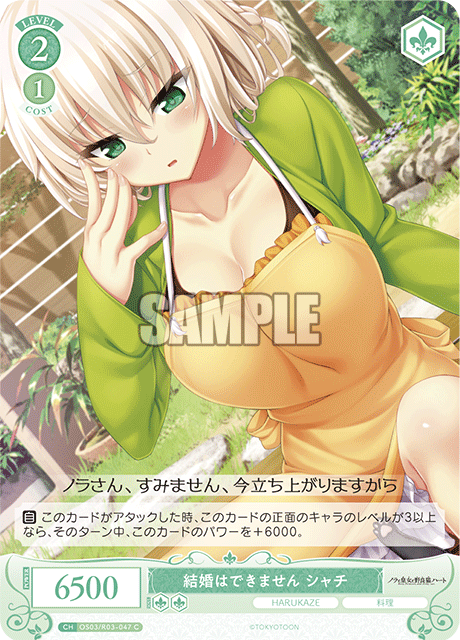 結婚はできません シャチ 【C】