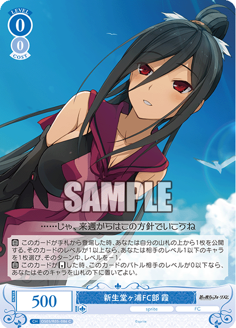 新生堂ヶ浦FC部 霞 【C】