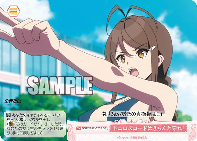ドエロスコードはきちんと守れ!(SR)(OS12/R12-073S)