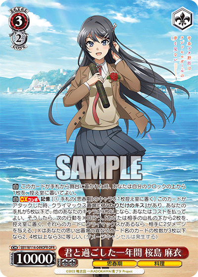 君と過ごした一年間 桜島 麻衣(OFR)