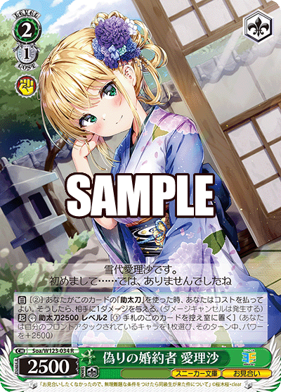 偽りの婚約者 愛理沙(R)