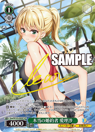 本当の婚約者 愛理沙(SP)