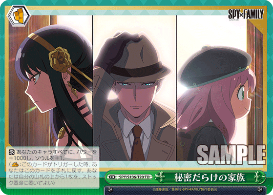 秘密だらけの家族(TD)