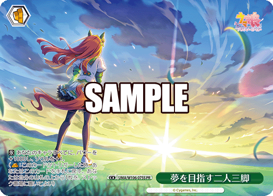 夢を目指す二人三脚(PR)