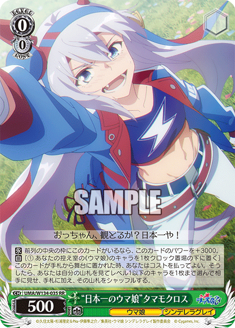 “日本一のウマ娘”タマモクロス(RR)