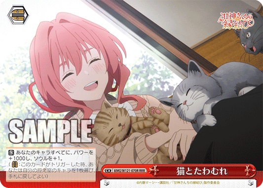猫とたわむれ(RRR)