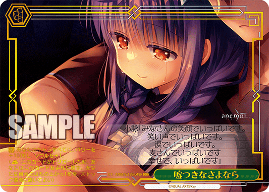 嘘つきなさよなら(RRR)(ANM/W138-048R)