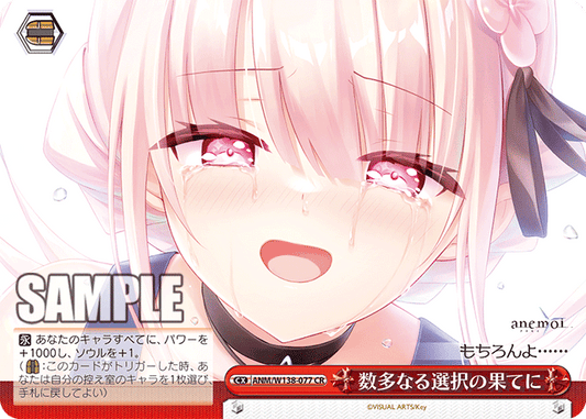 数多なる選択の果てに(CR)(ANM/W138-077)