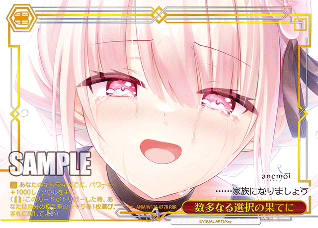 数多なる選択の果てに(RRR)(ANM/W138-077R)