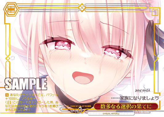 数多なる選択の果てに(RRR)(ANM/W138-077R)