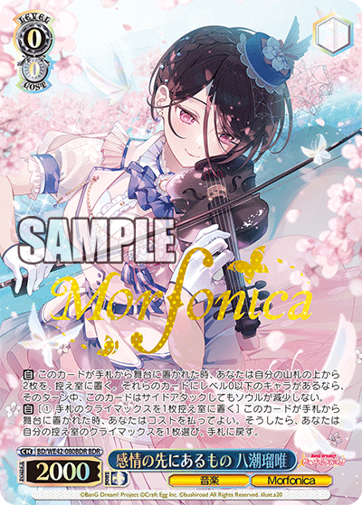 感情の先にあるもの 八潮瑠唯(BDR)