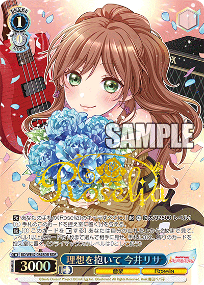 理想を抱いて 今井リサ(BDR)