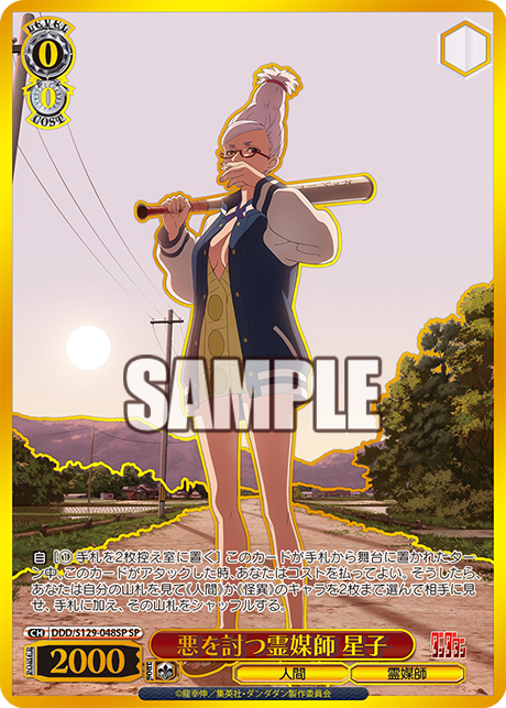 悪を討つ霊媒師 星子(SP)(DDD/S129-048SP)