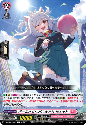ボールと共にどこまでも サエット (DZ-BT16/120)