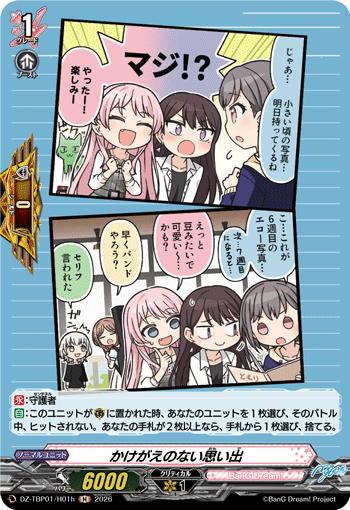 かけがえのない思い出 (DZ-TBP01/H01h)
