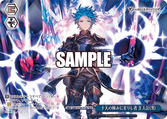 十天の極みに至りし者 主人公(男)(TDP)(GBF/S134-T14S)