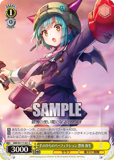 手のひらのパーフェクション 豊後 弥生(C)