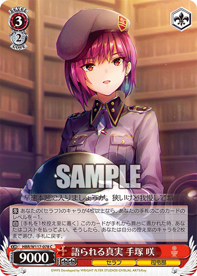 語られる真実 手塚 咲(C)