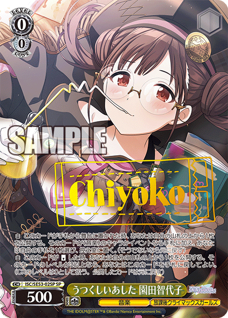 うつくしいあした 園田智代子(SP)