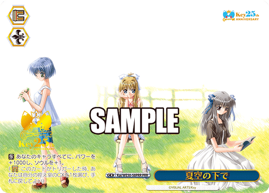 夏空の下で(PRR)