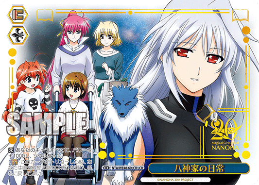 八神家の日常(LCR)