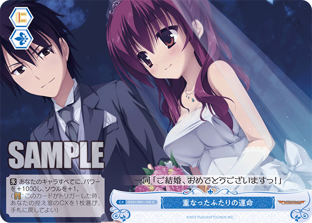 重なったふたりの運命 【C】