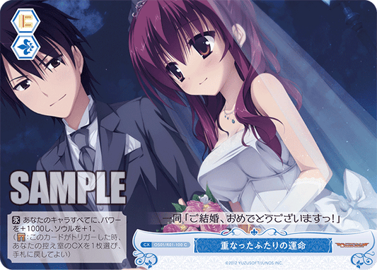 重なったふたりの運命 【C】