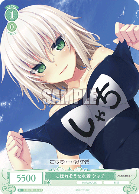 こぼれそうな水着 シャチ 【C】