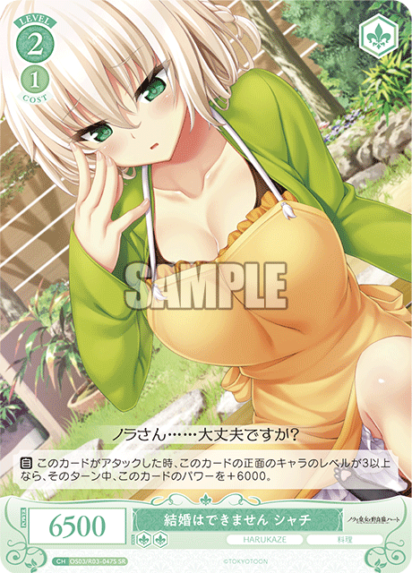 結婚はできません シャチ 【SR】