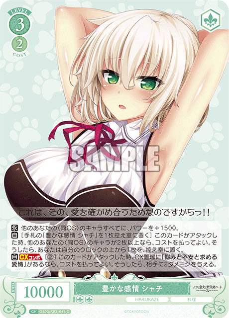 豊かな感情 シャチ 【C】