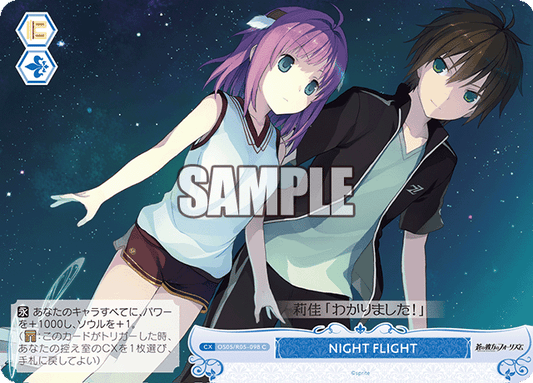 NIGHT FLIGHT 【C】
