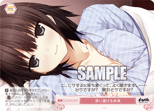 添い遂げる未来 【C】