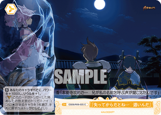 『失ってからだとね…　遅いんだ』(C)(OS09/R09-025)