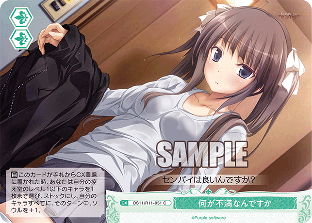 何が不満なんですか(C)(OS11/R11-051)