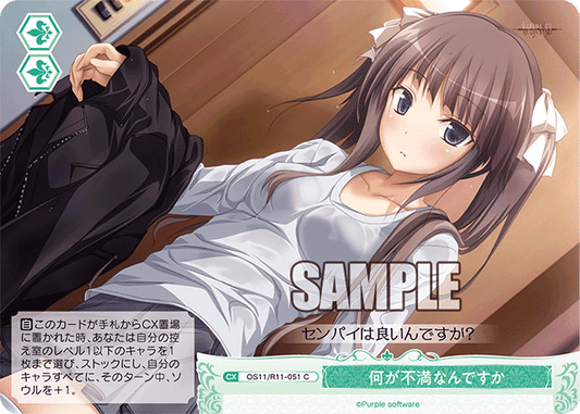 何が不満なんですか(C)(OS11/R11-051)