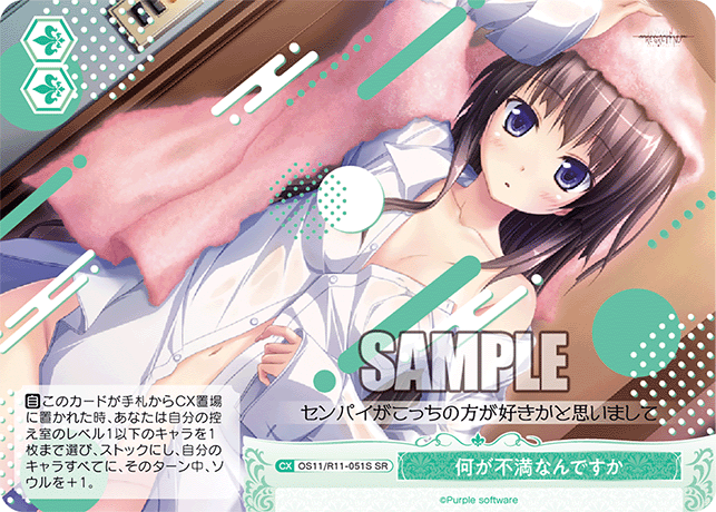 何が不満なんですか(SR)(OS11/R11-051S)