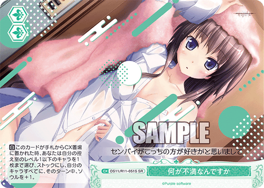 何が不満なんですか(SR)(OS11/R11-051S)