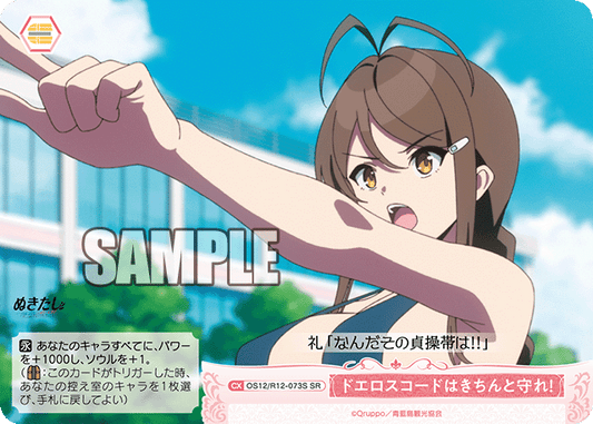 ドエロスコードはきちんと守れ！(SR)(OS12/R12-073S)